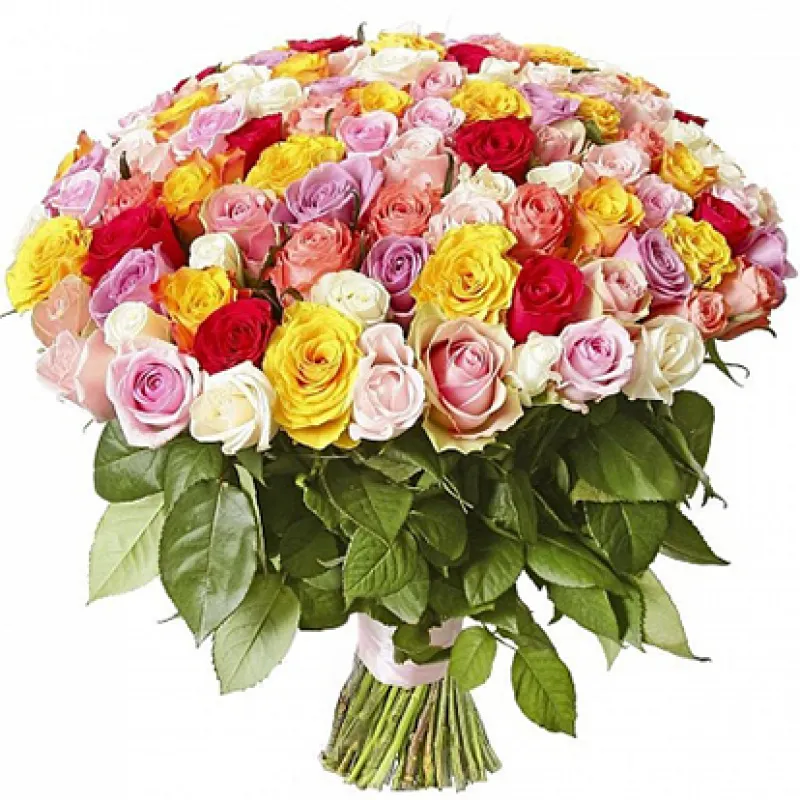 Букет 101 разноцветная роза под ленту, доставка Плавск